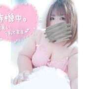 ヒメ日記 2025/08/14 13:56 投稿 あんず 長野権堂更埴ちゃんこ