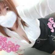 ヒメ日記 2025/08/31 11:56 投稿 あんず 長野権堂更埴ちゃんこ