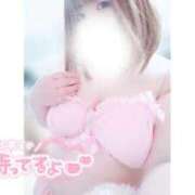 ヒメ日記 2025/09/05 12:46 投稿 あんず 長野権堂更埴ちゃんこ