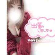 ヒメ日記 2025/10/13 12:06 投稿 あんず 長野権堂更埴ちゃんこ