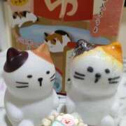 ヒメ日記 2025/11/05 21:36 投稿 あんず 長野権堂更埴ちゃんこ