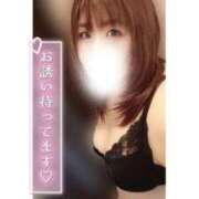 ヒメ日記 2025/11/12 12:36 投稿 あんず 長野権堂更埴ちゃんこ