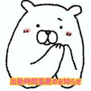 ヒメ日記 2025/11/28 16:46 投稿 あんず 長野権堂更埴ちゃんこ