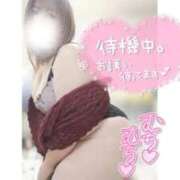 ヒメ日記 2025/12/12 21:57 投稿 あんず 長野権堂更埴ちゃんこ