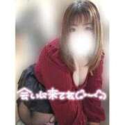 ヒメ日記 2025/12/14 12:06 投稿 あんず 長野権堂更埴ちゃんこ