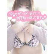 ヒメ日記 2025/12/26 12:36 投稿 あんず 長野権堂更埴ちゃんこ