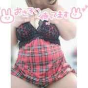 ヒメ日記 2025/12/27 11:56 投稿 あんず 長野権堂更埴ちゃんこ