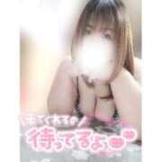 ヒメ日記 2026/01/04 14:16 投稿 あんず 長野権堂更埴ちゃんこ