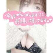 ヒメ日記 2026/02/08 10:26 投稿 あんず 長野権堂更埴ちゃんこ