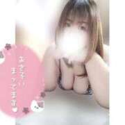 ヒメ日記 2026/02/15 12:07 投稿 あんず 長野権堂更埴ちゃんこ