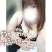 ヒメ日記 2026/02/21 12:06 投稿 あんず 長野権堂更埴ちゃんこ