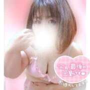 ヒメ日記 2026/05/29 19:46 投稿 あんず 長野権堂更埴ちゃんこ