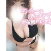 ヒメ日記 2026/07/20 14:17 投稿 あんず 長野権堂更埴ちゃんこ