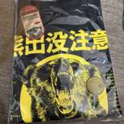 ヒメ日記 2025/10/28 01:05 投稿 りく 横浜人妻セレブリティ（ユメオト）