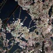 ヒメ日記 2026/02/20 03:02 投稿 りく 横浜人妻セレブリティ（ユメオト）