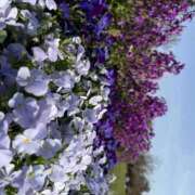 ヒメ日記 2026/04/14 12:40 投稿 りく 横浜人妻セレブリティ（ユメオト）