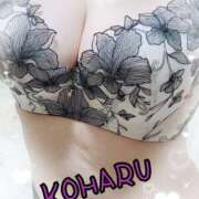 ヒメ日記 2025/10/16 10:00 投稿 こはる 明石の熟女達・女華