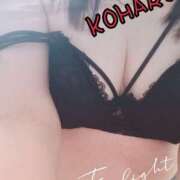 ヒメ日記 2025/11/07 12:00 投稿 こはる 明石の熟女達・女華