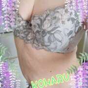 ヒメ日記 2025/11/24 10:00 投稿 こはる 明石の熟女達・女華