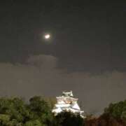 ヒメ日記 2025/11/27 21:35 投稿 あんり リッチドールパート2梅田店