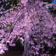 ヒメ日記 2026/04/02 23:55 投稿 あんり リッチドールパート2梅田店