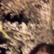 ヒメ日記 2026/04/03 12:55 投稿 あんり リッチドールパート2梅田店