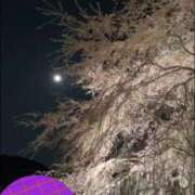 ヒメ日記 2026/04/03 14:03 投稿 あんり リッチドールパート2梅田店