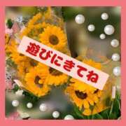 ヒメ日記 2024/12/11 13:42 投稿 伊万里(いまり) 相模原人妻城