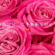 ヒメ日記 2025/08/13 07:39 投稿 伊万里(いまり) 相模原人妻城