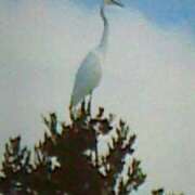 ヒメ日記 2024/12/20 09:00 投稿 めぐみ 人妻小旅行