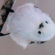 ヒメ日記 2025/02/16 08:32 投稿 めぐみ 人妻小旅行