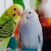 ヒメ日記 2025/03/03 14:02 投稿 めぐみ 人妻小旅行