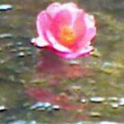 ヒメ日記 2025/04/17 16:02 投稿 めぐみ 人妻小旅行