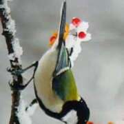 ヒメ日記 2025/05/15 17:42 投稿 めぐみ 人妻小旅行