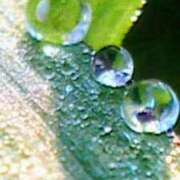 ヒメ日記 2025/06/01 17:52 投稿 めぐみ 人妻小旅行