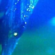 ヒメ日記 2025/06/23 08:27 投稿 めぐみ 人妻小旅行