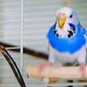 ヒメ日記 2025/08/28 14:57 投稿 めぐみ 人妻小旅行