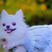 ヒメ日記 2025/09/07 15:10 投稿 めぐみ 人妻小旅行