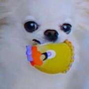 ヒメ日記 2025/09/25 16:57 投稿 めぐみ 人妻小旅行