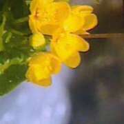 ヒメ日記 2025/10/02 14:57 投稿 めぐみ 人妻小旅行