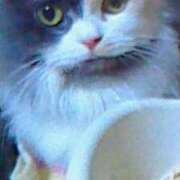 めぐみ ☆１１月☆ 人妻小旅行