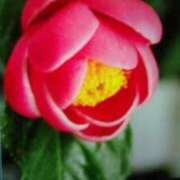 めぐみ こんにちは☆ 人妻小旅行