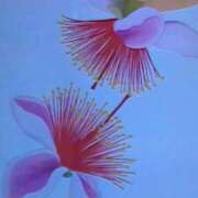 ヒメ日記 2025/12/08 16:27 投稿 めぐみ 人妻小旅行