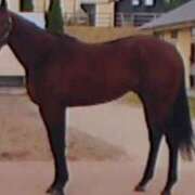 ヒメ日記 2026/01/03 15:27 投稿 めぐみ 人妻小旅行