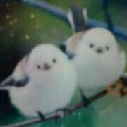 ヒメ日記 2026/01/16 22:17 投稿 めぐみ 人妻小旅行