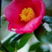 めぐみ こんにちは☆ 人妻小旅行