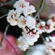 ヒメ日記 2026/02/20 20:57 投稿 めぐみ 人妻小旅行