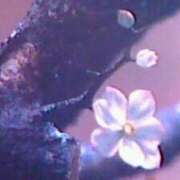 ヒメ日記 2026/03/02 16:17 投稿 めぐみ 人妻小旅行