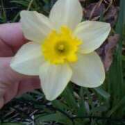 めぐみ めぐみです 人妻小旅行