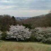 ヒメ日記 2026/04/09 13:35 投稿 めぐみ 人妻小旅行